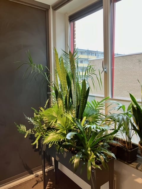 Foto 16 van Reigerlaan 172