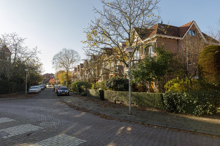 Bekijk foto 38 van Heemskerkstraat 10