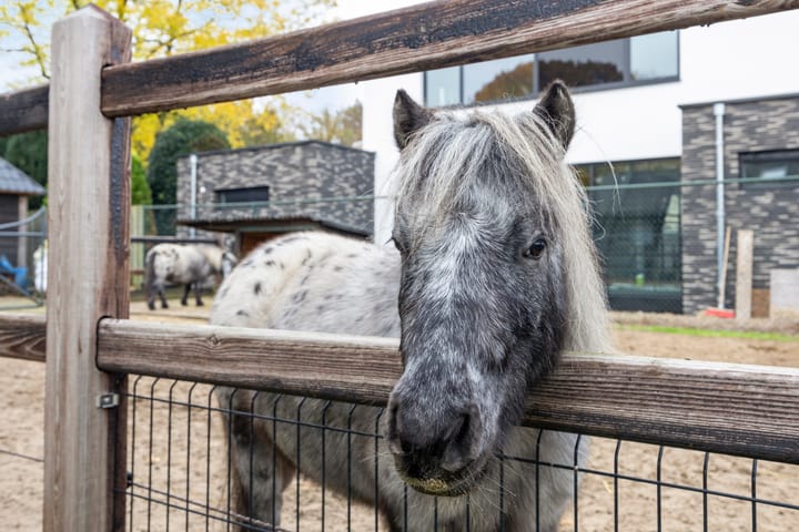 Foto 59 van Heer en Beekstraat 21-B