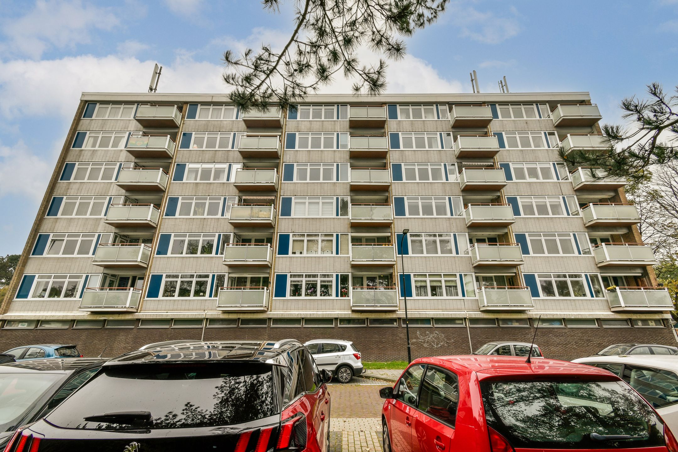 Photo 9 of Warande 37