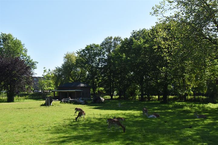 Bekijk foto 38 van Vreeswijkstraat 148