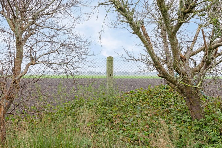 Foto 41 van Oosterdiep OZ 52