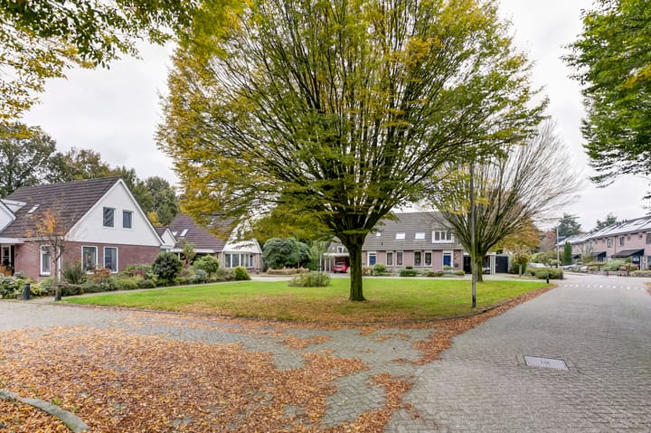 Foto 2 van Riegheide 17