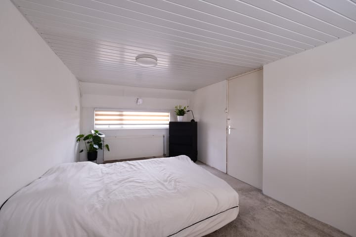 Foto 11 van Verfmolen 5