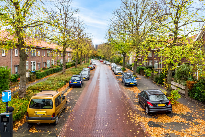 Bekijk foto 35 van Lage Morsweg 51