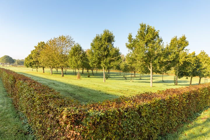 Foto 8 van Rietveldstraat 47