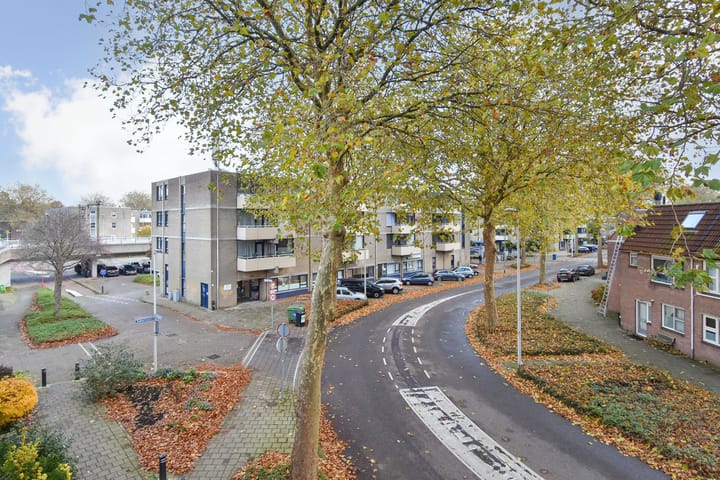 Foto 37 van Weteringdreef 13