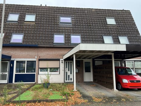 undefined main image