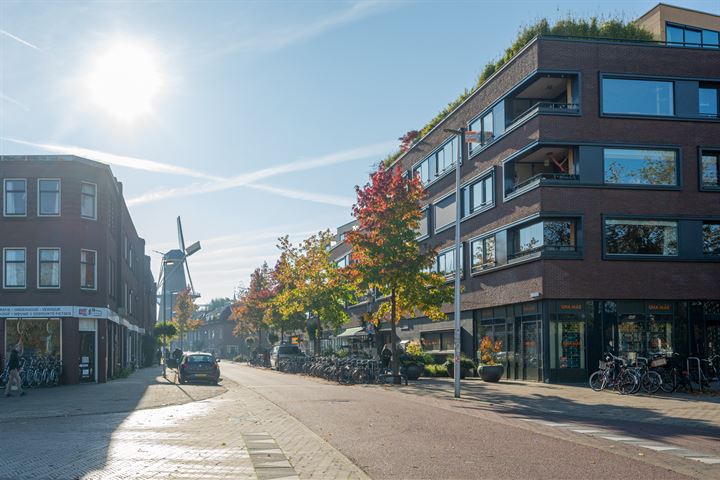 Bekijk foto 60 van Merelstraat 100