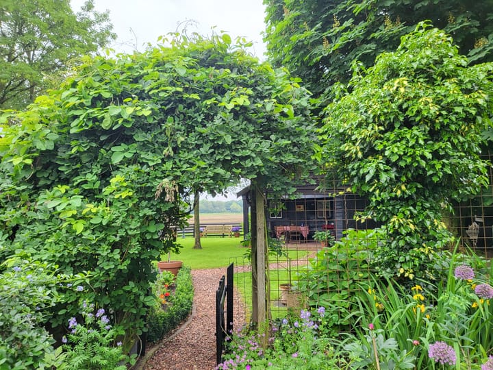 Photo 80 of Hoogeveenseweg 21