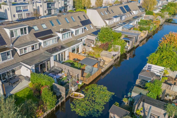 Foto 3 van Grauwe Gans 62