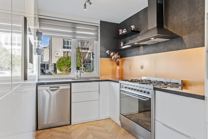 Foto 12 van Grauwe Gans 62