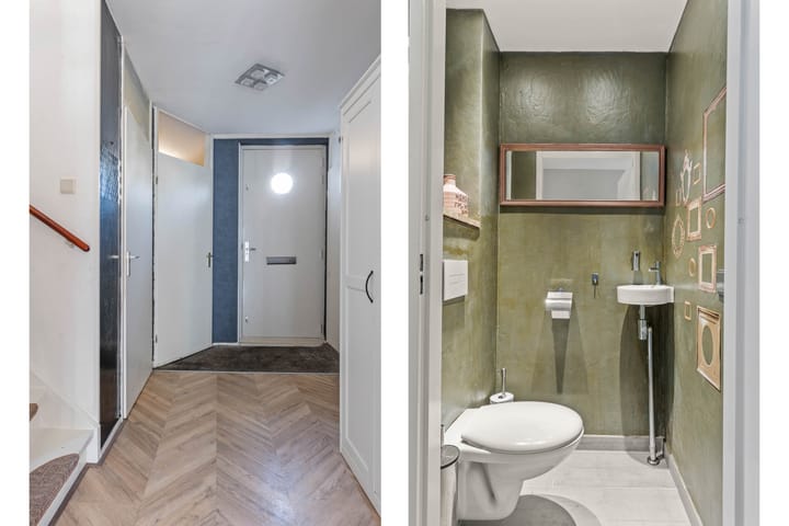 Foto 15 van Grauwe Gans 62