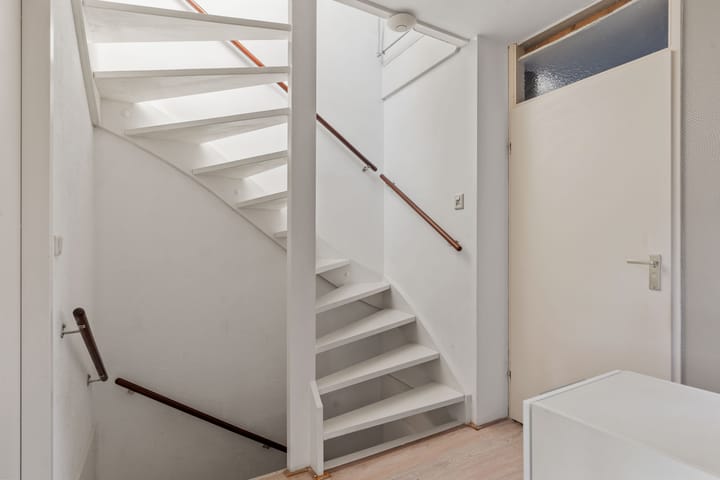 Foto 16 van Grauwe Gans 62