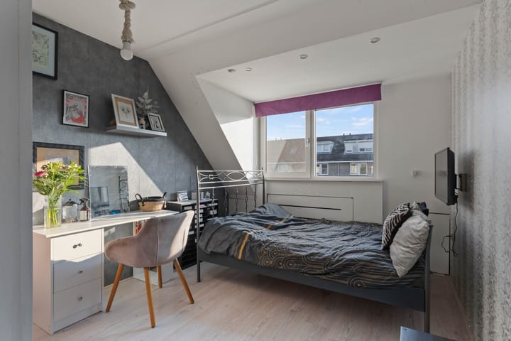 Foto 17 van Grauwe Gans 62