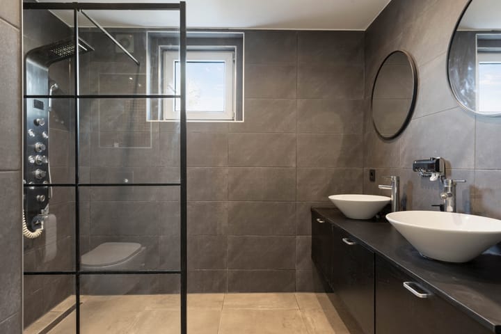 Foto 19 van Grauwe Gans 62