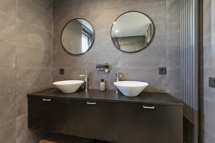 Foto 21 van Grauwe Gans 62