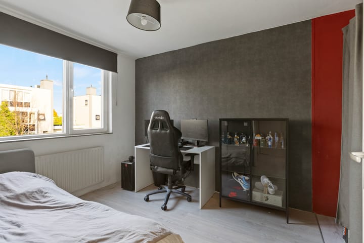 Foto 22 van Grauwe Gans 62