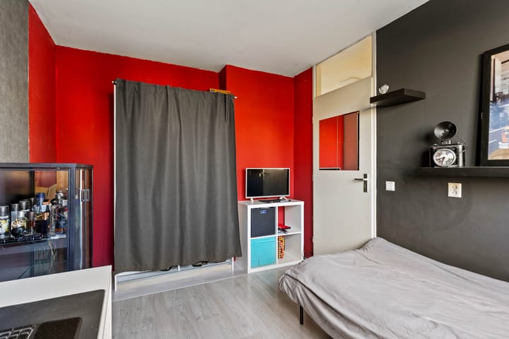 Foto 23 van Grauwe Gans 62