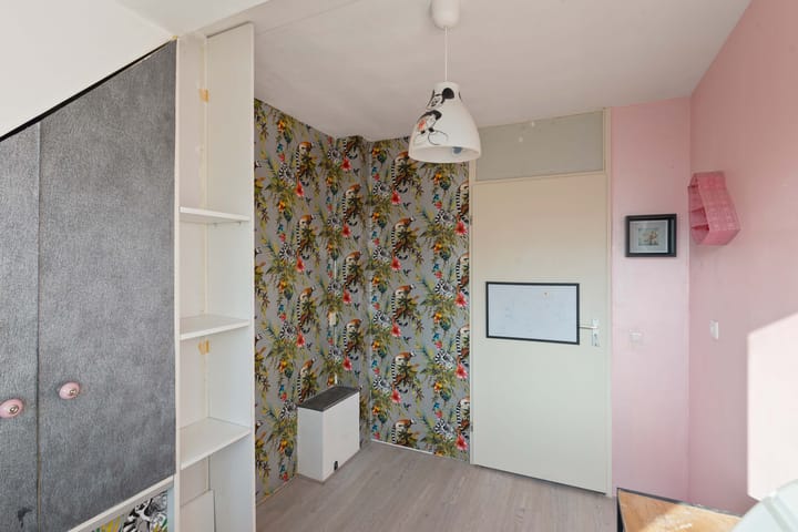 Foto 25 van Grauwe Gans 62