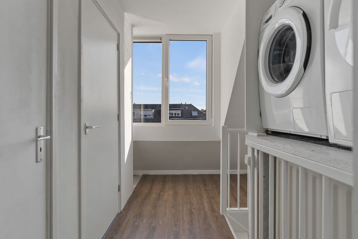 Foto 26 van Grauwe Gans 62