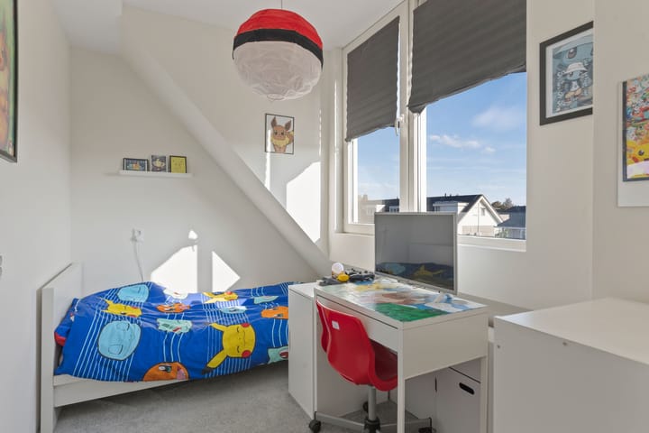 Foto 29 van Grauwe Gans 62