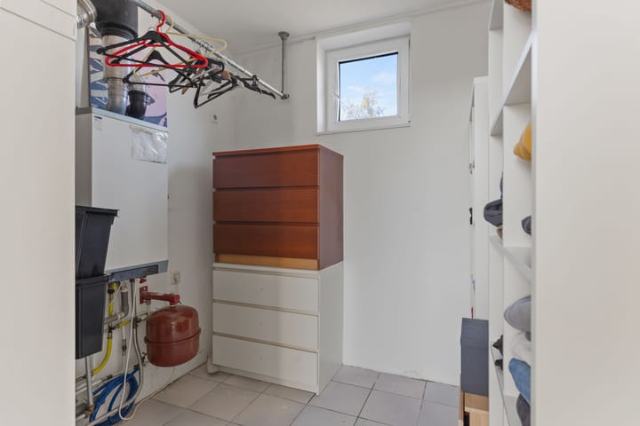 Foto 30 van Grauwe Gans 62