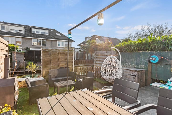 Foto 32 van Grauwe Gans 62