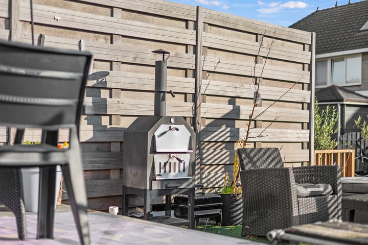 Foto 34 van Grauwe Gans 62