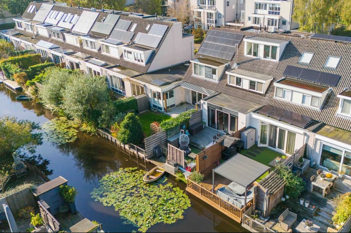 Foto 38 van Grauwe Gans 62