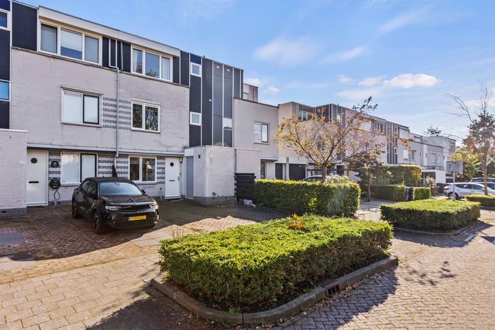 Foto 39 van Grauwe Gans 62