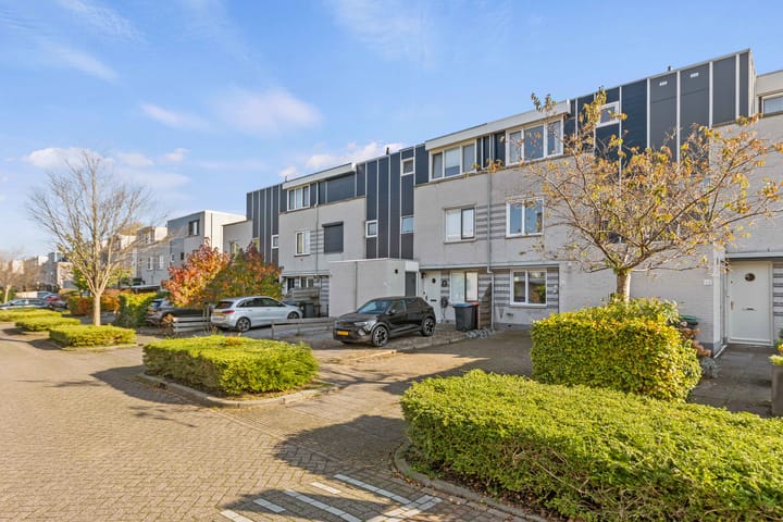 Foto 40 van Grauwe Gans 62