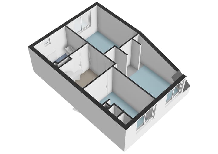 Foto 49 van Grauwe Gans 62