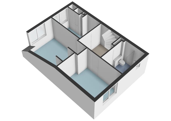 Foto 50 van Grauwe Gans 62