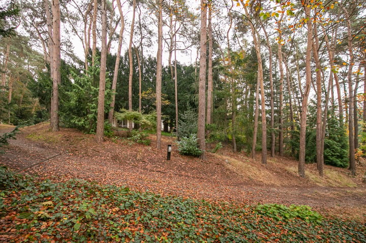 Foto 3 van Rozendaalseheide 44