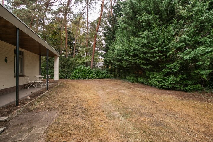 View photo 31 of Rozendaalseheide 44