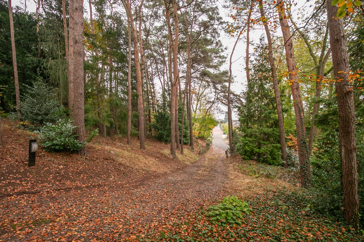 View photo 35 of Rozendaalseheide 44