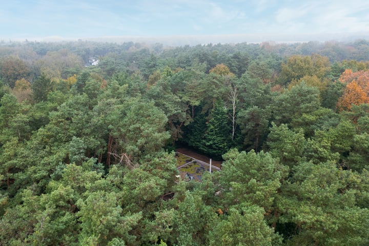 View photo 37 of Rozendaalseheide 44