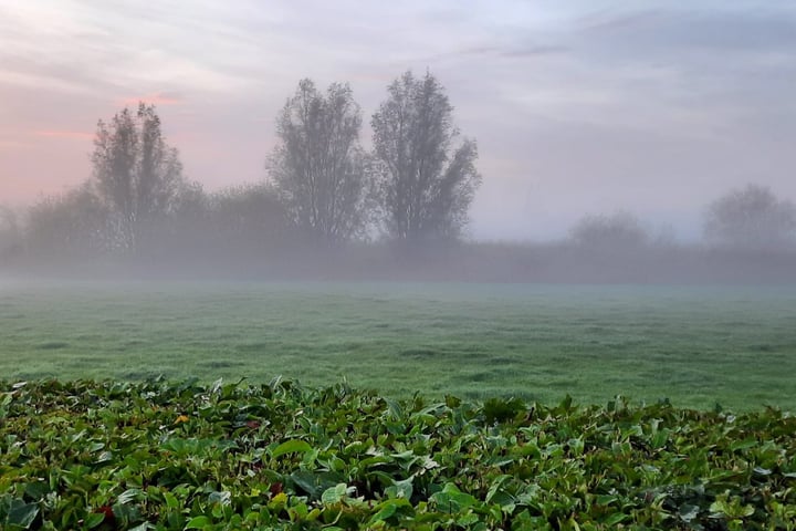 View photo 75 of Maasdijk 63