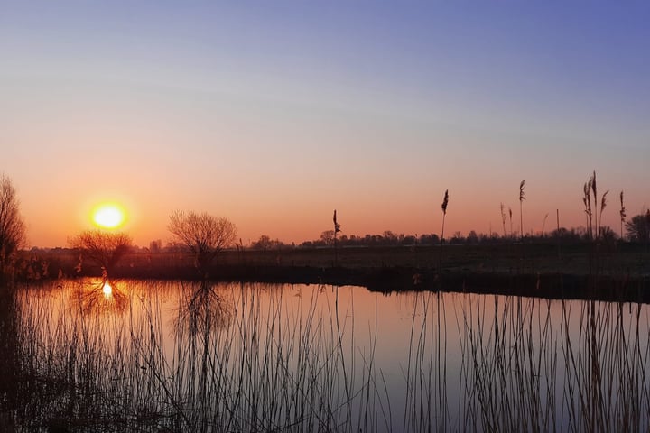 View photo 77 of Maasdijk 63