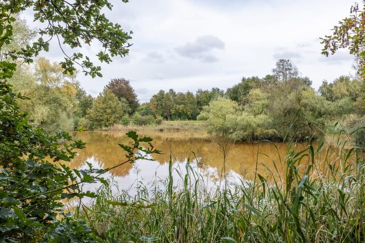 Foto 51 van Gareelhoek 20