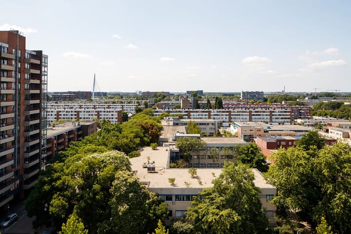 Foto 13 van Eisenhowerlaan 438