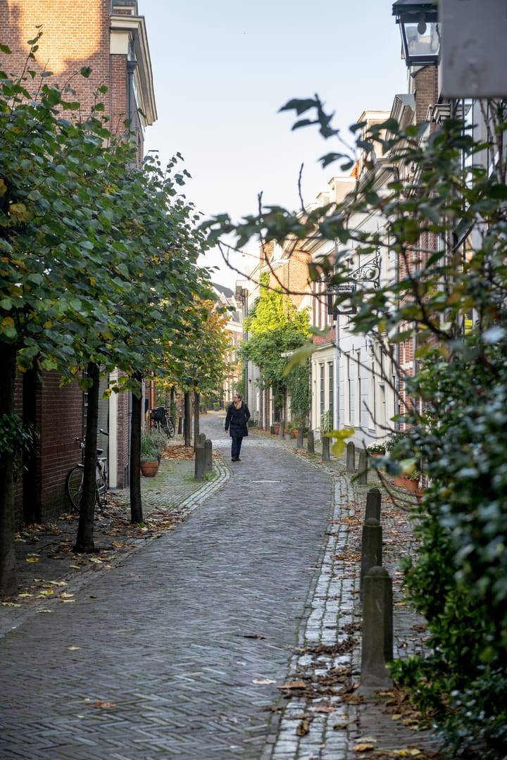 Foto 25 van Nassaulaan 12