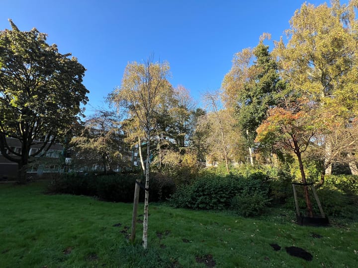 Foto 18 van Bramzeilhof 144