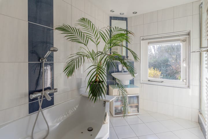 Foto 29 van De Mamuchetweg 9