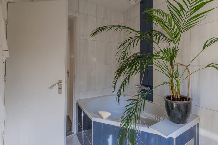 Foto 31 van De Mamuchetweg 9