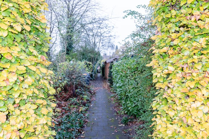 Foto 37 van De Mamuchetweg 9