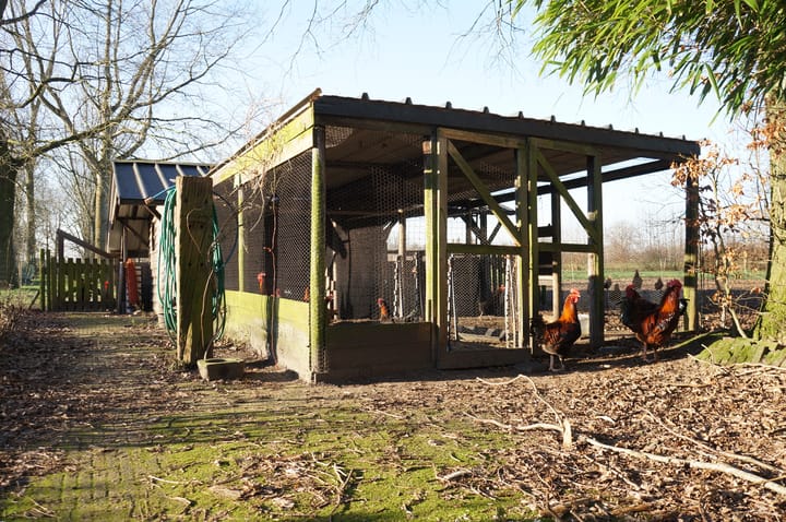 Foto 36 van Wolfsnest 6