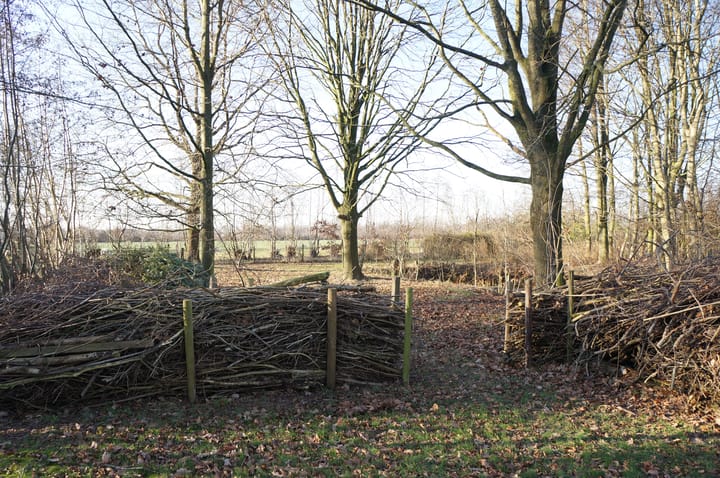 Foto 37 van Wolfsnest 6