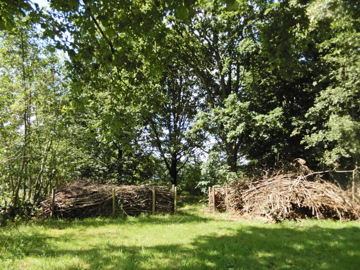 Foto 38 van Wolfsnest 6